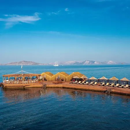 Golden & Bodrum