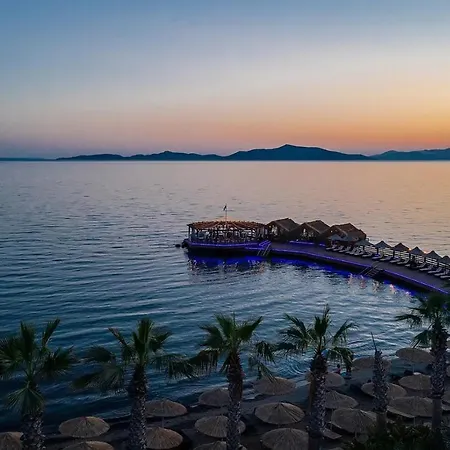 ホテル Golden & 4*