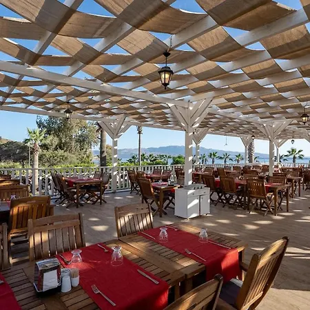 ホテル Golden & 4*